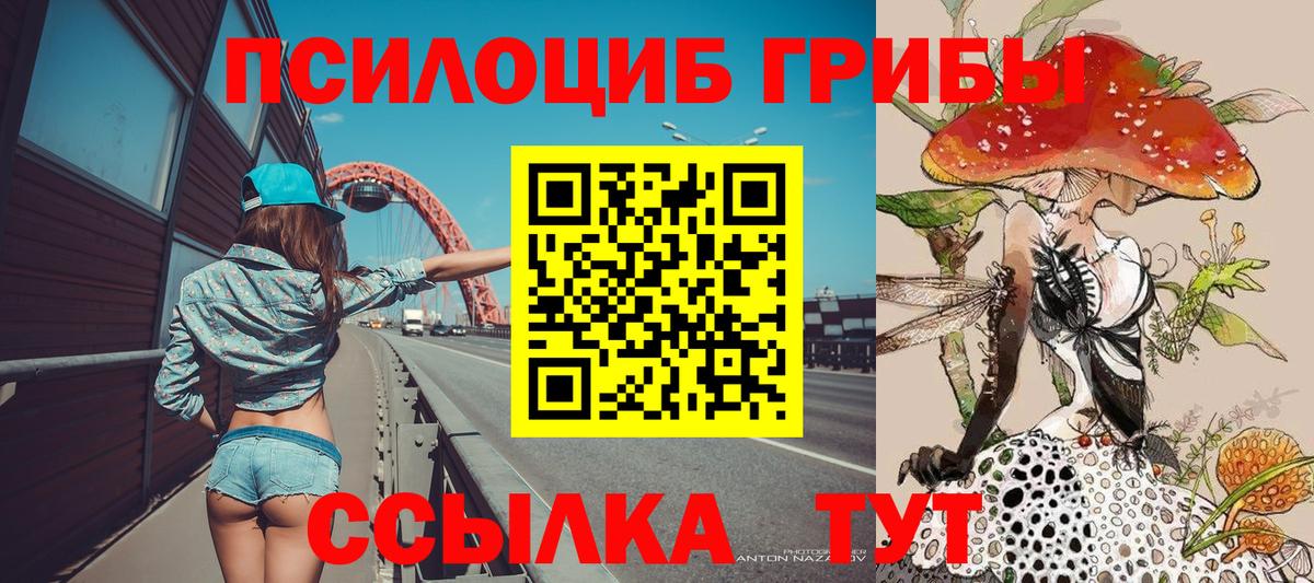 Галлюциногенные грибы Cubensis Дубна